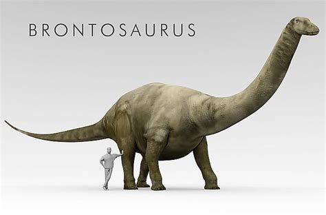 when did brontosaurus go extinct.